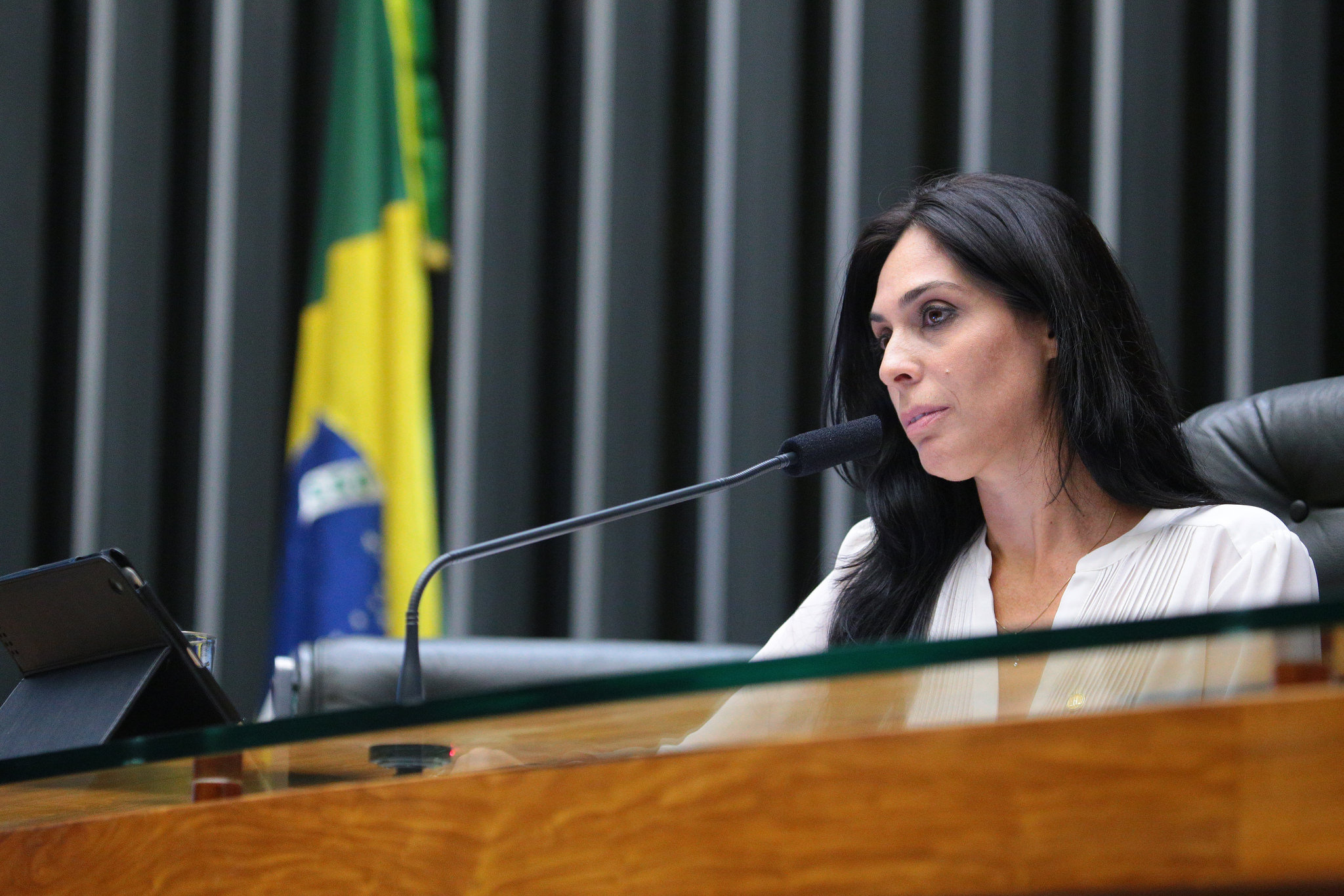 Câmara aprova projeto que disciplina adoção
