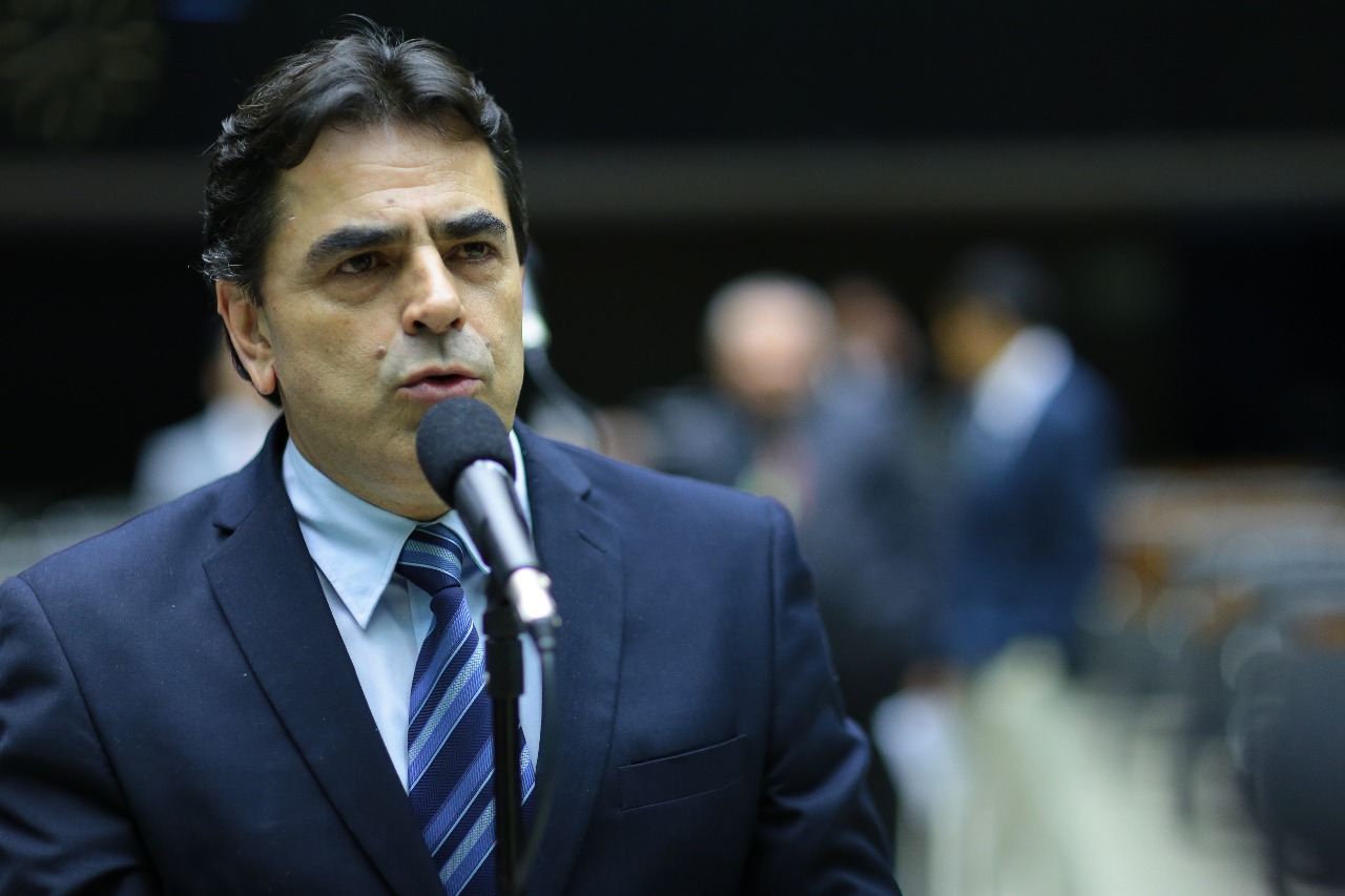 Domingos Sávio começou a vida pública nos movimentos estudantis. Foi presidente do sindicato rural e de cooperativas. Em 1992, tornou-se vereador por Divinópolis (MG), vindo posteriormente a eleger-se prefeito da cidade. Pelo bom trabalho no município, foi eleito duas vezes deputado estadual. Cumpre o terceiro mandato na Câmara. É candidato ao prêmio Melhores Deputados e na categoria Empreendedorismo.
